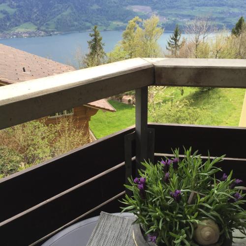 a plant on a table on a balcony with a view at Apartments Seeblick mit Anbindung an ein 4-Sterne-Hotel in Beatenberg