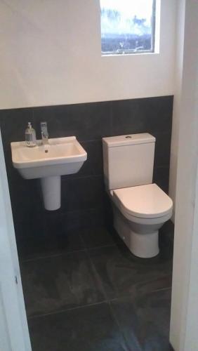 a bathroom with a white toilet and a sink at Parkway Chalet - Pennal, Powys, Wales nr Aberdovey in Pennal