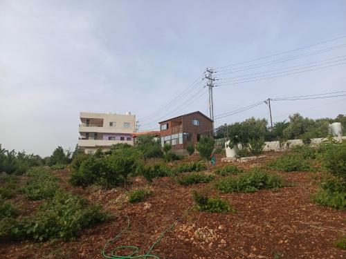 a house on top of a hill with plants at أكواخ وشقق عبين السياحيه in ‘Ibbīn