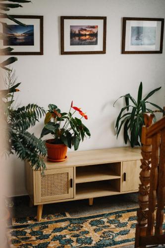 Fotografie z fotogalerie ubytování Casa Matheus v destinaci Bisericani