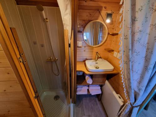 a bathroom with a sink and a mirror at Roulotte champêtre à la ferme in Rochefort-Sanson