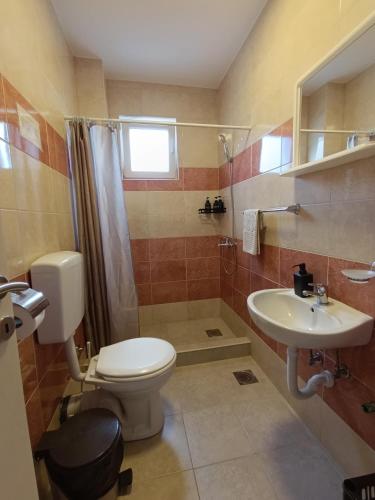 a bathroom with a toilet and a sink at Sayohat Apartments in Dobra Voda