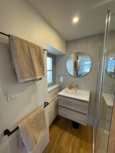 une salle de bain avec un lavabo et une douche dans l'établissement Maison 262 - Chambord Escape, à Huisseau-sur-Cosson