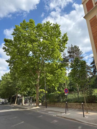 un arbre sur le côté d'une rue dans l'établissement Cozy Studio Ideally Located, à Paris