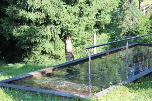 a pool of water with a fence and trees at Berghotel zum Zirm in Collalbo
