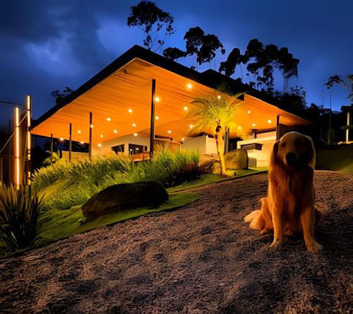 a dog sitting in front of a house at night at Acampamento do Bosque in Rodeio