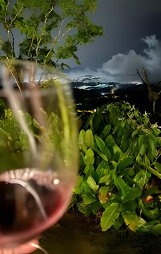 a glass of wine sitting next to a bush at Acampamento do Bosque in Rodeio