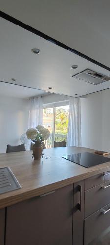 d'une cuisine avec un comptoir et une usine. dans l'établissement T2 chic non loin de palais festival, à Cannes