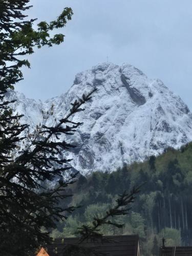 Fotografie z fotogalerie ubytování Kryjówka pod Reglami v Zakopaném