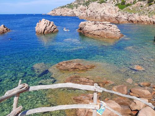 a group of people swimming in a body of water at Luxury Sea View Apartment 100 mt Mare in Costa Paradiso