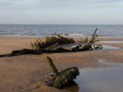 a dead tree on a beach with the ocean at 61 St Andrew's 3 bedroom Cozy Caravan near Edinburgh Seton Sands Holiday Village in Port Seton