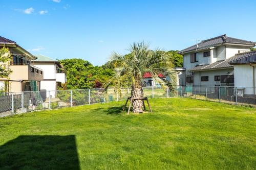 a palm tree in the middle of a yard at RD House in Katsuyama