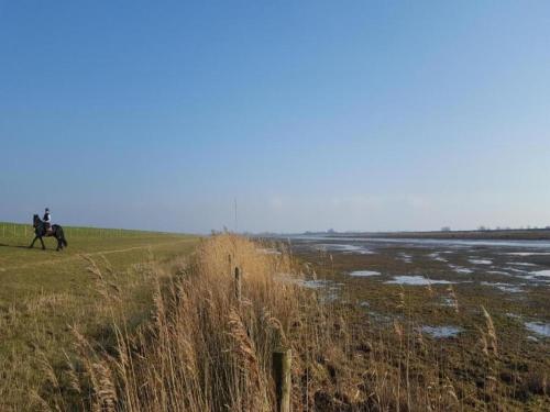 a person riding a horse in a field at Bungalow by Water near Rotterdam in Simonshaven