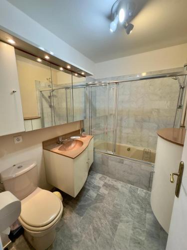 une salle de bain avec toilettes, lavabo et douche dans l'établissement Beau studio proche des plages piscine, à Cogolin