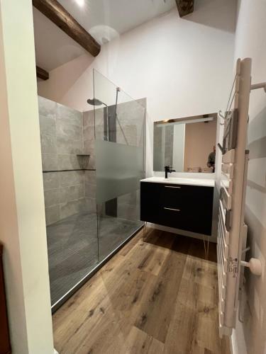 un baño con ducha y lavabo en Chambre d'hôtes Villa Santina, en Piquecos