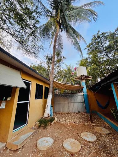 a house with a palm tree in front of it at Wasi la Punta 5 Starlink 2min walk to the beach in Brisas de Zicatela