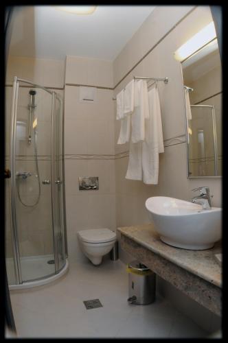 a bathroom with a shower and a sink and a toilet at Hotel Diafan in Baia Mare