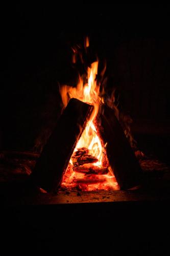a fire is burning in a fire pit at Petals Suite Patio Nature Trails Bancroft in Bancroft