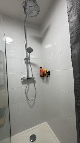 a bathroom with a shower with a shower head at DaxLodge T3 cosy in Dax