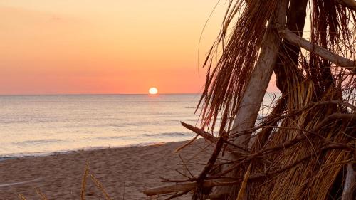 a sunset on a beach with the ocean at Bilocale Alborense in Alberese