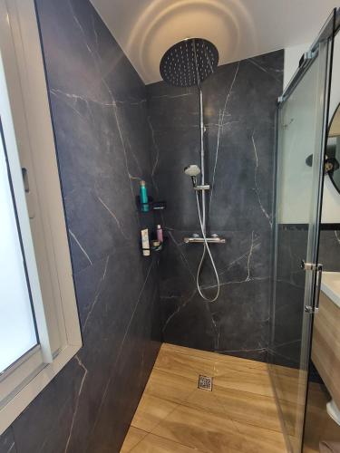 une salle de bain avec une douche avec une porte vitrée dans l'établissement Mi Casa - 3 chambres, à Nice