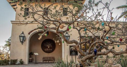 En have udenfor Grand Solmar Pacific Dunes Resort, Golf & Spa