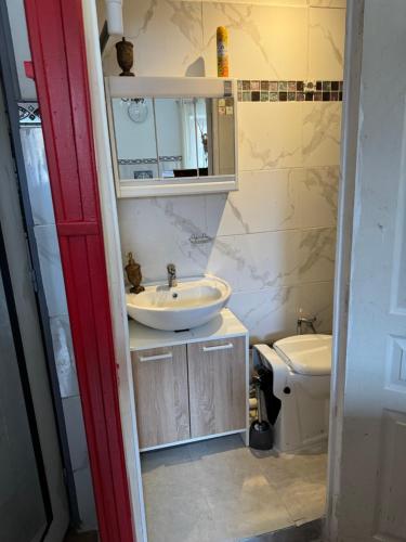 une salle de bain avec un lavabo et des toilettes dans l'établissement Daghsen, à Nice