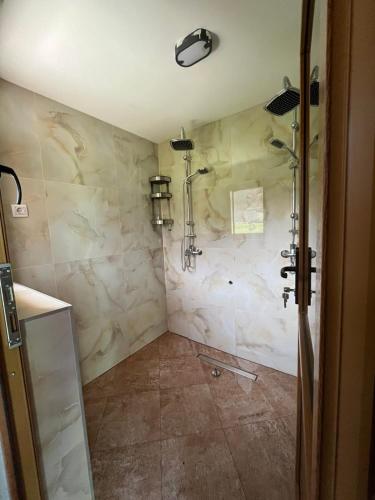 a bathroom with a shower with marble walls at Princess Jana Apartments in Selišta
