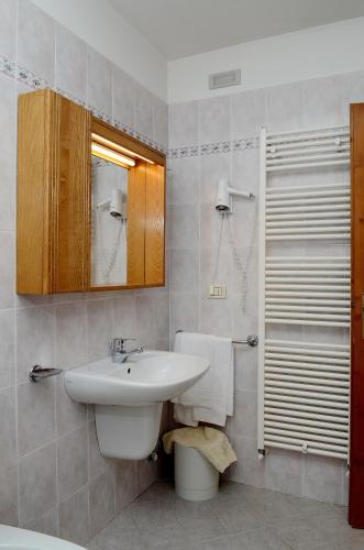 a bathroom with a sink and a toilet and a mirror at Ski Residence in San Martino di Castrozza