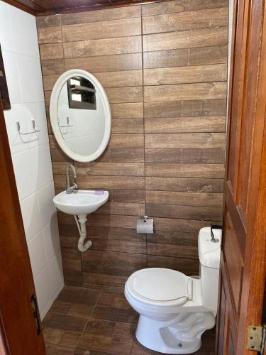 a small bathroom with a toilet and a sink at Casa no centro de Miguel Pereira in Miguel Pereira