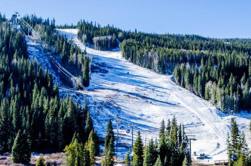 a ski slope with snow and trees on a mountain at Trapper's Crossing by Summit County Mountain Retreats in Keystone