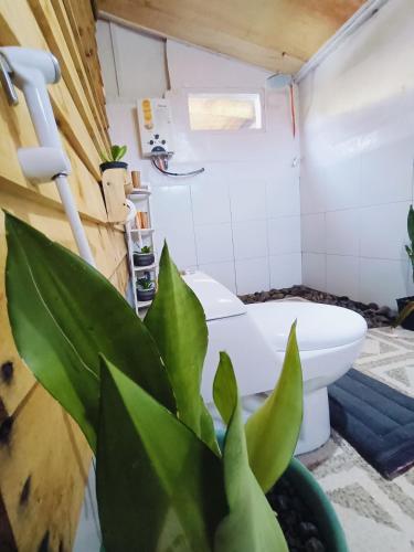 a bathroom with a toilet and a plant at Raturinjani homestay in Selong