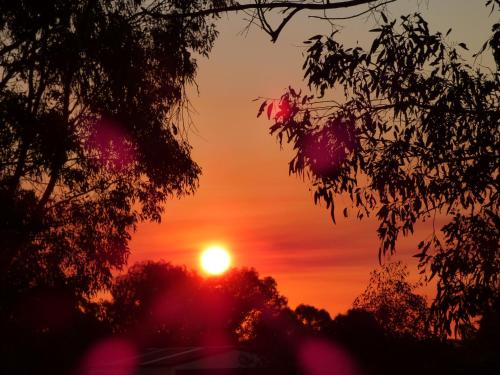 a sunset with trees in the foreground at Glenrowan Kelly Country Motel in Glenrowan