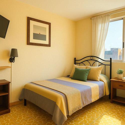 Gallery image of Los Nardos Hostel -pet friendly- in Oaxaca City