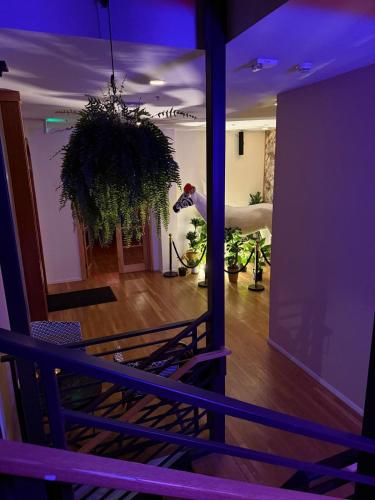a view of a living room with a potted plant at Unicorn Zebra in Tucson
