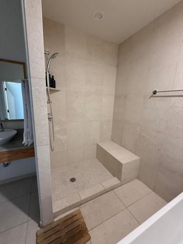 a bathroom with a shower and a sink at Unicorn Zebra in Tucson