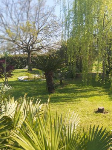Zahrada ubytování Villa FioccoMare