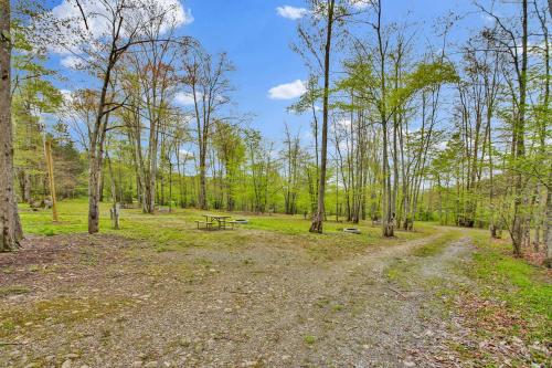 a picnic table in the middle of a park with trees at Family Cabin full bath in Gaines