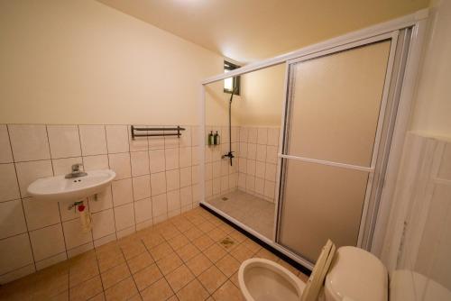 a bathroom with a shower and a toilet and a sink at Nantou Fruit House in Renai