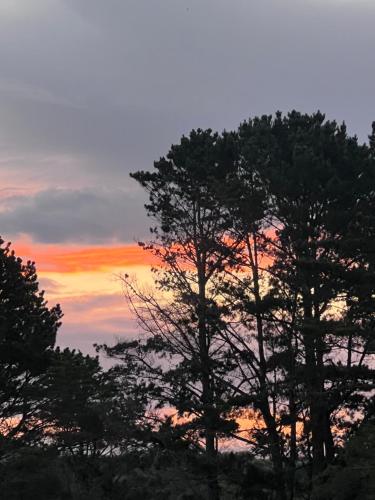 a sunset with trees in the foreground at Isca House, Exeter, NSW in Exeter