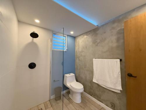 a bathroom with a toilet and a shower at New! Cozy Cool Studio Near Beach! in San Juan