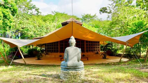 Taman di luar Awake Uvita