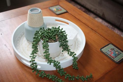 a table with a cake with a plant in a bowl at Cataract 7 - CBD 2 Br Free Parking in Launceston