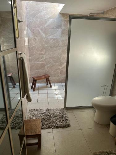 a bathroom with a mirror and a toilet and a stool at La Casa de Ensueño in Guadalajara