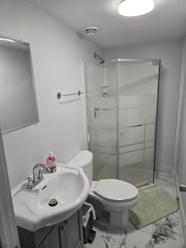 a bathroom with a toilet and a sink and a shower at CDQI Hotel in Ottawa