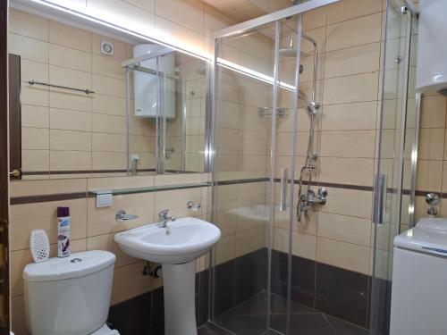 a bathroom with a toilet and a sink and a shower at Apartment Bigovo in Tivat