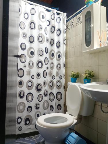 a bathroom with a toilet and a shower curtain at Alojamiento Naomi 1 in Villa Unión