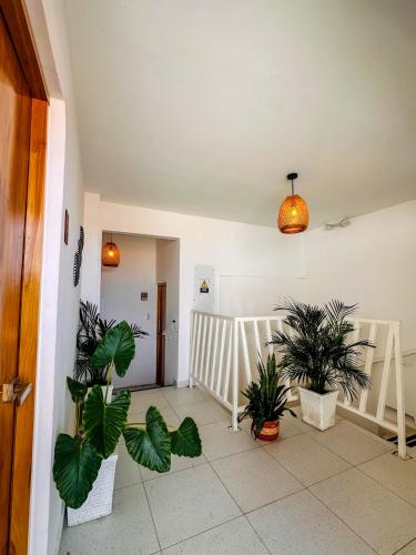 a hallway with two potted plants and a staircase at Hostal Casa Torres Centro Historico - Adults Only in Cartagena de Indias