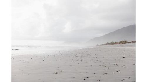 a beach with a bunch of birds on the sand at The Coast 1 by Tiny Away in Birchfield