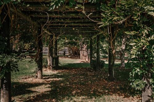 a wooden pergola in a park with trees at The Maple Lodge with Alpacas, Goats, Boars, Ducks & Chickens Farm Stay with Outdoor Pizza Oven in Robertson